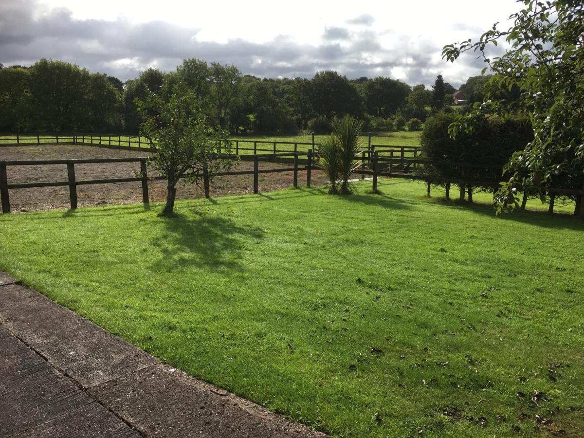 Little Rushbrook Cottages Tanworth Exteriör bild