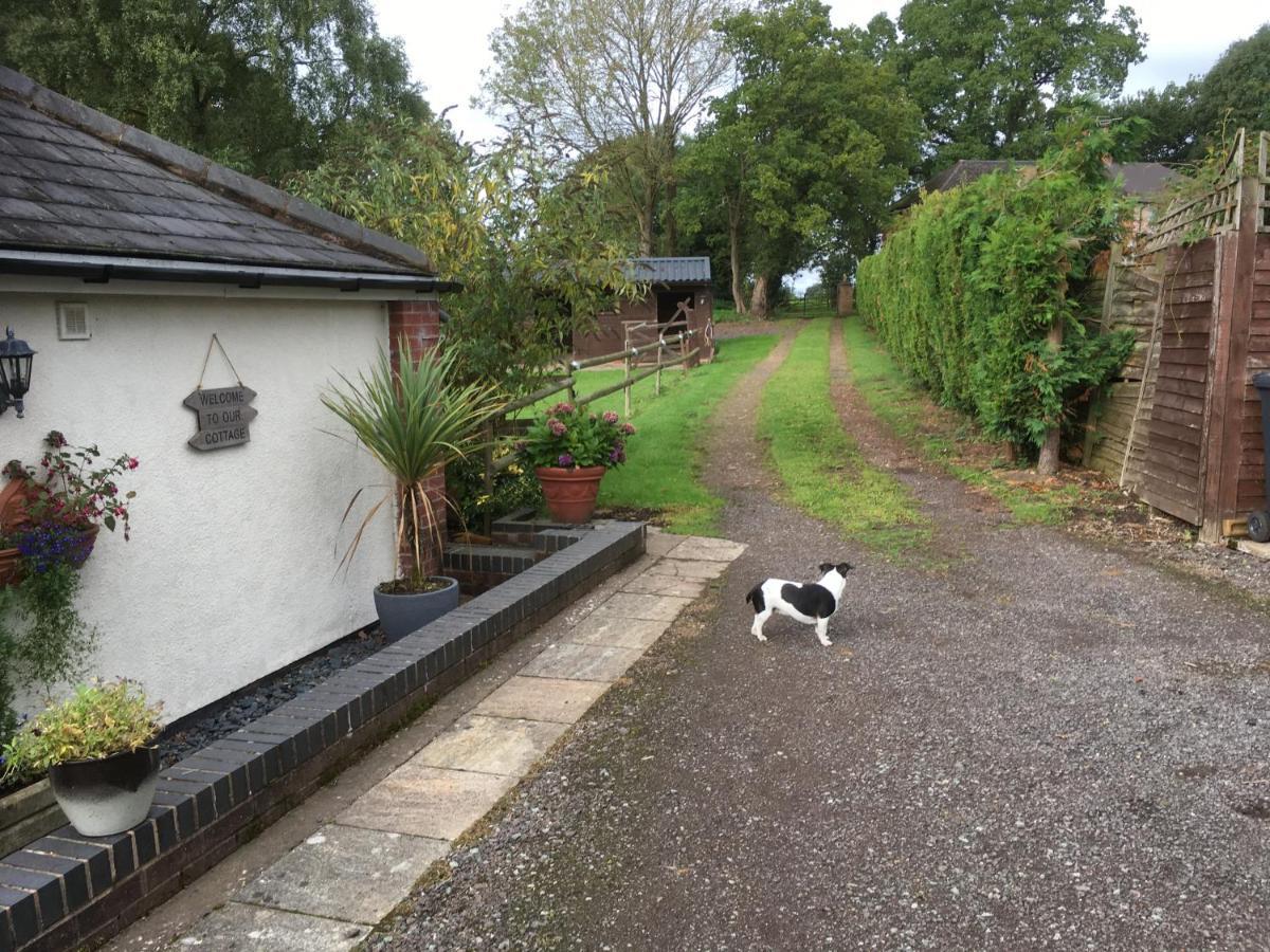 Little Rushbrook Cottages Tanworth Exteriör bild
